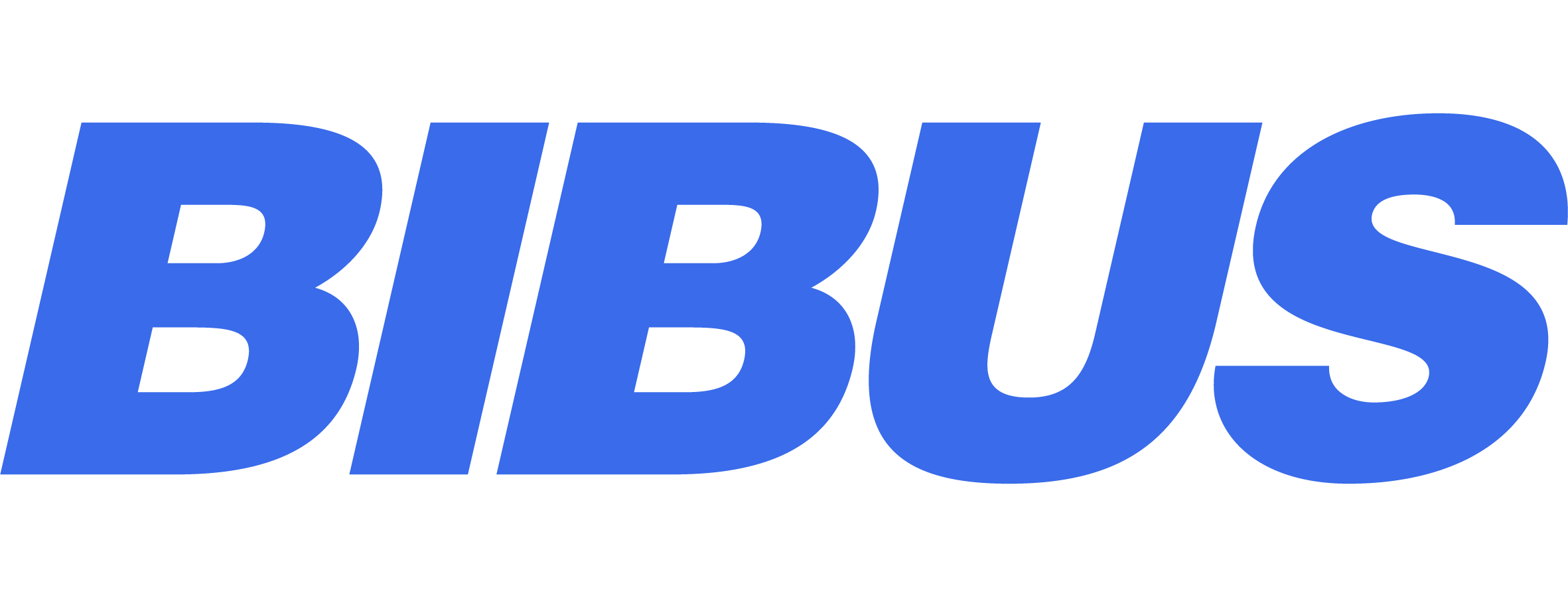 Bibus
